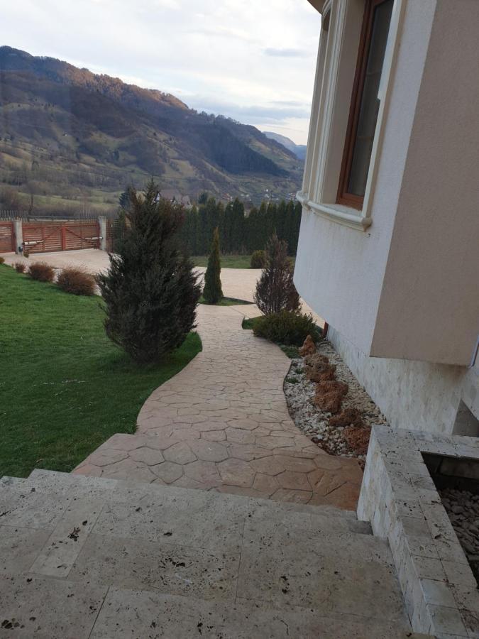 Vila Daria 3 Rucar  Exterior photo
